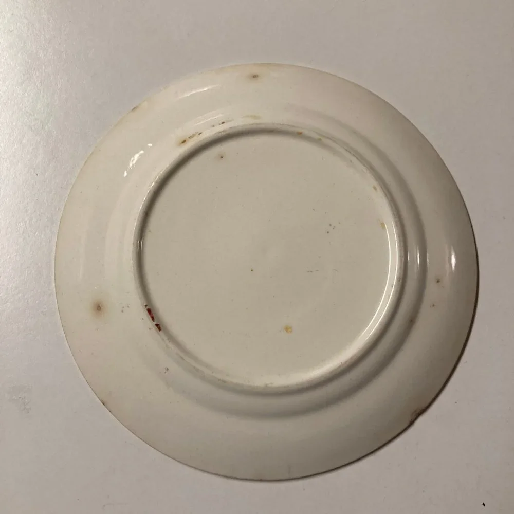 Vintage Salad Plates (2) 6 Inches with Pink & Blue Flowers / Roses